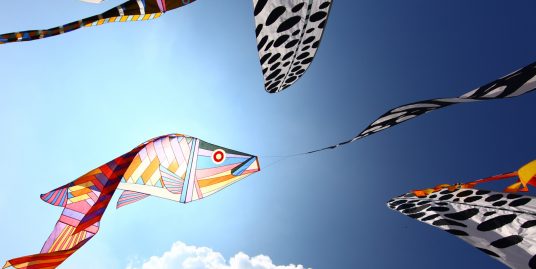 FESTIVAL INTERNAZIONALE DELL’ AQUILONE