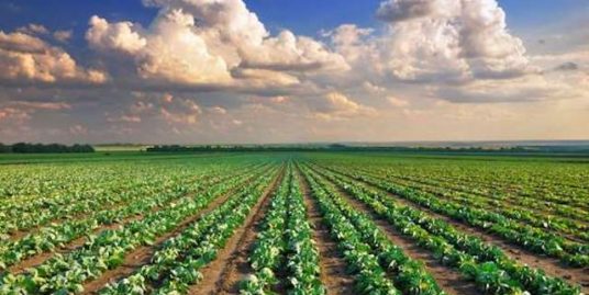 Le Imposte per l'acquisto di Terreno Agricolo
