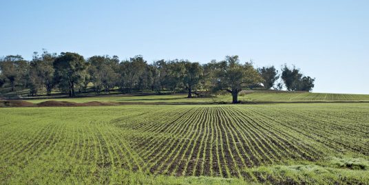 Le Imposte per l'acquisto di Terreno Agricolo