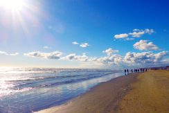 Stabilimenti balneari in vendita