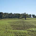 Le Imposte per l'acquisto di Terreno Agricolo