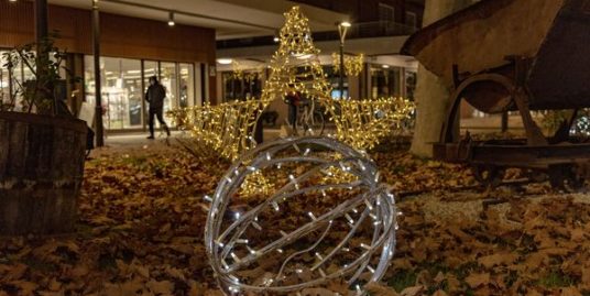 Fare Shopping fa Natale
