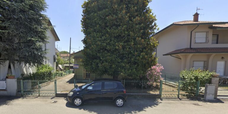 Magnolia