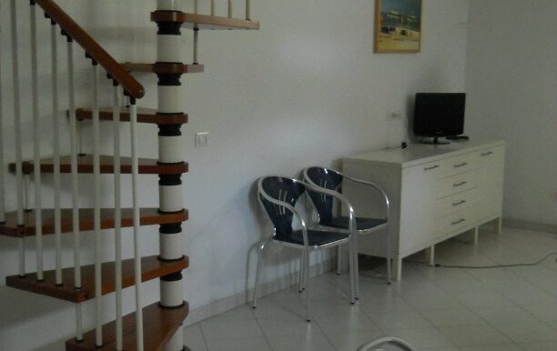 1001161116-3DSCN1036
