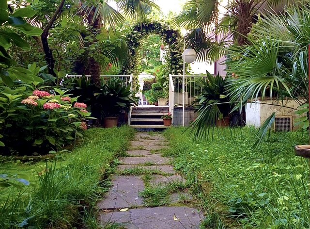 Attico con piscina a M.Marittima