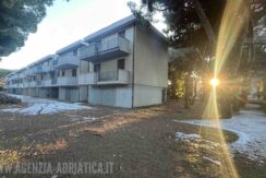 Trilocale a Tagliata