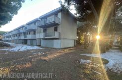 Trilocale a Tagliata